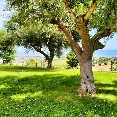 Apartmán Residenza Mamma Bruna - Armonia Roseto Degli Abruzzi